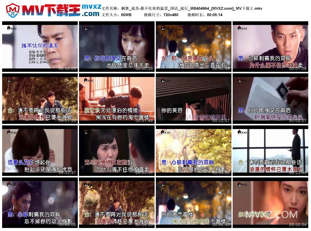 枫舞_流苏-握不住你的温柔_国语_流行_MB404964